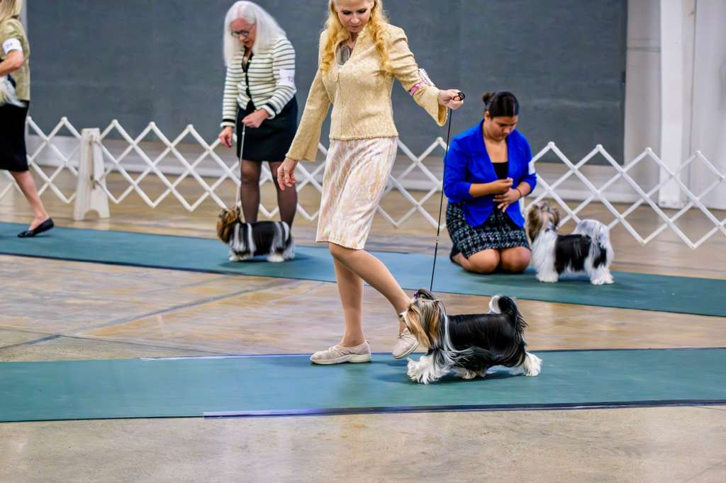 Local Business Listing