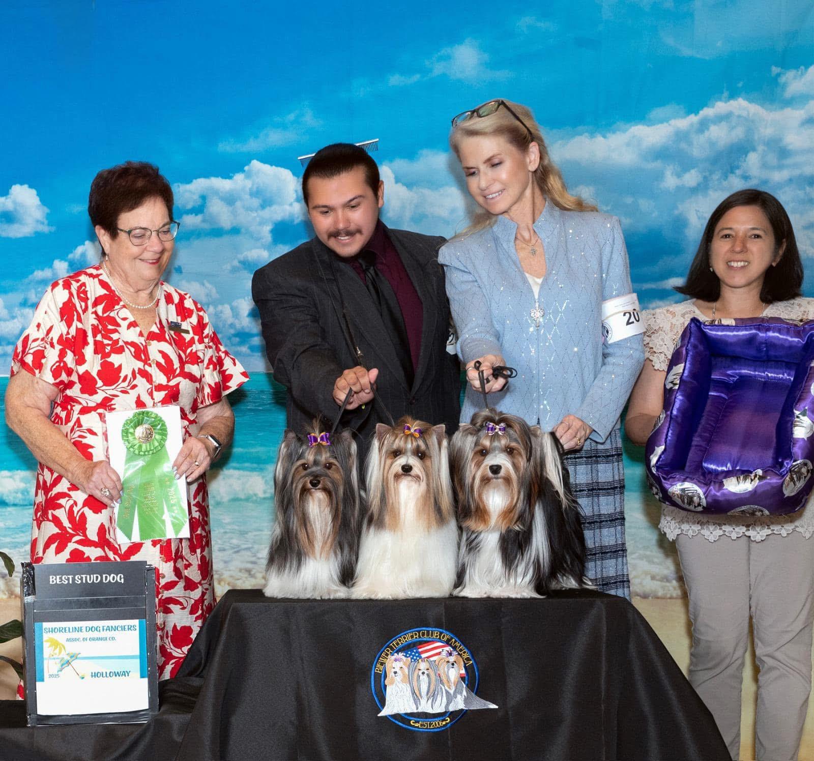 Local Business Listing