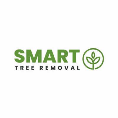 Local Business Listing