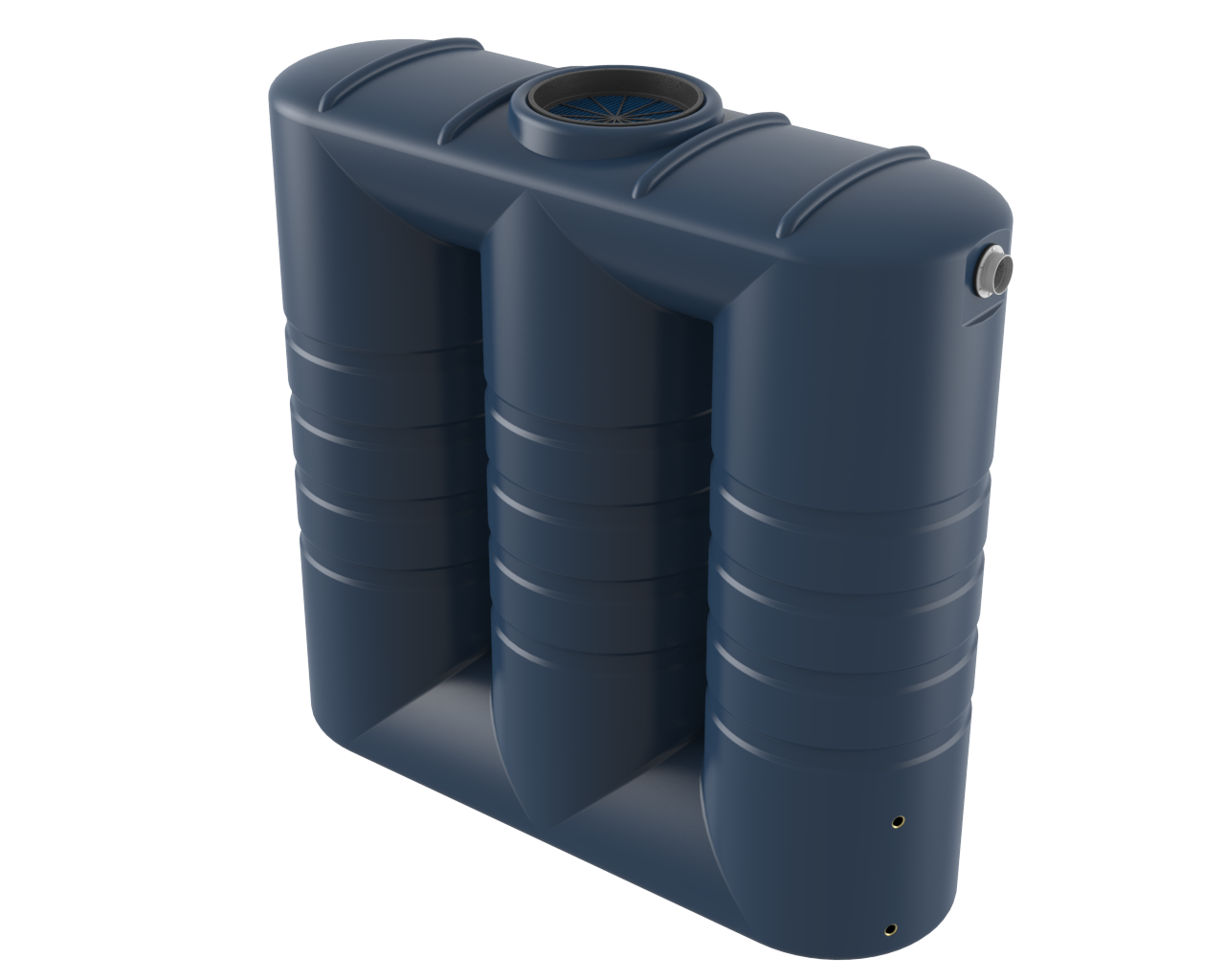 Local Business Listing