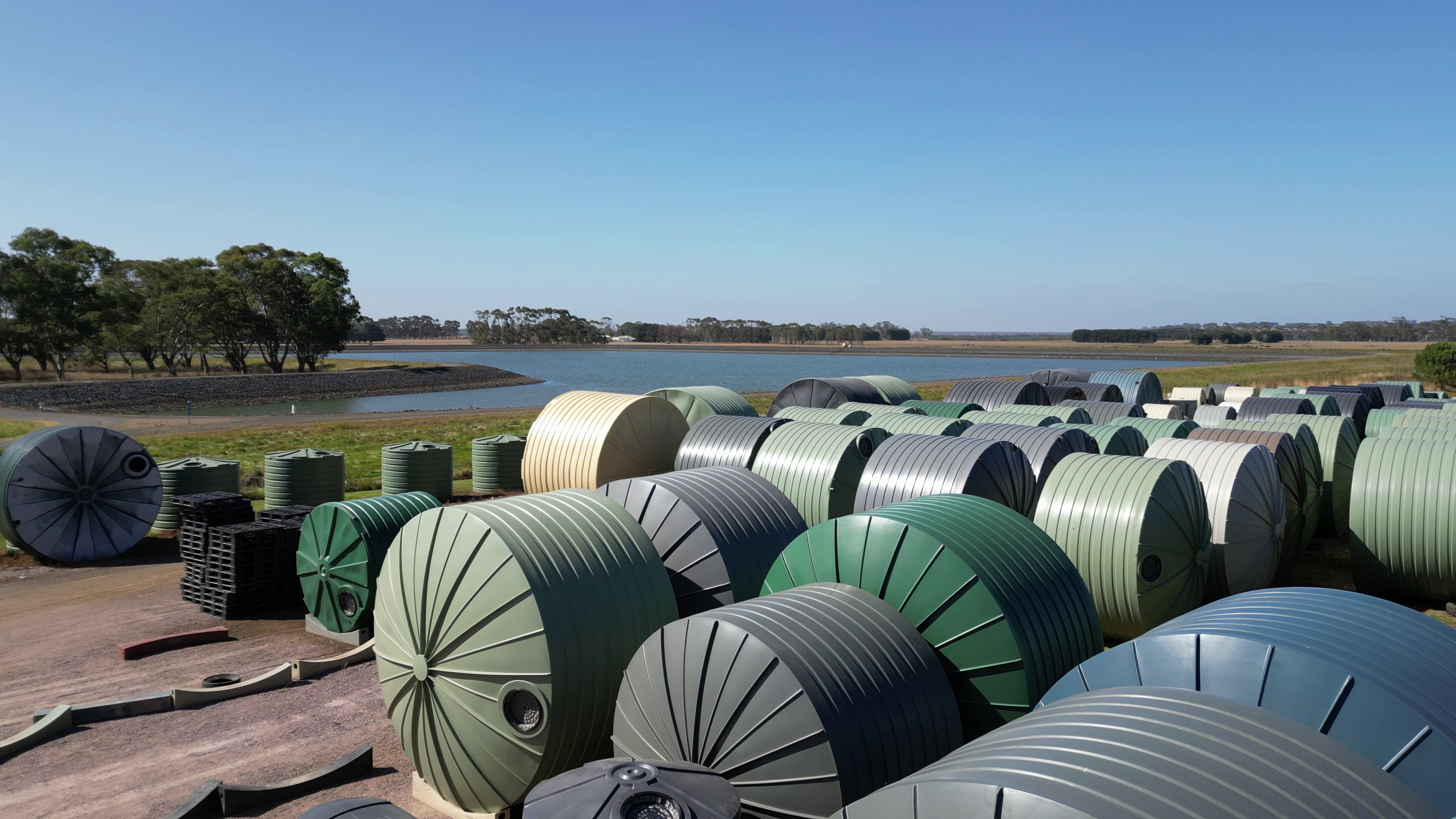 Local Business Listing