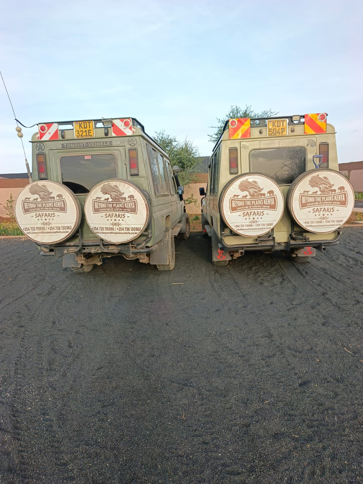 Local Business Listing