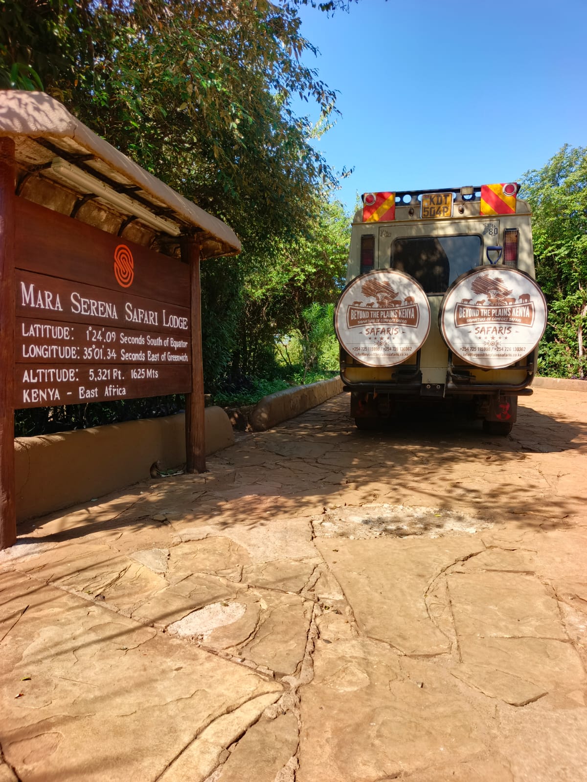 Local Business Listing