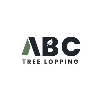 Local Business Listing