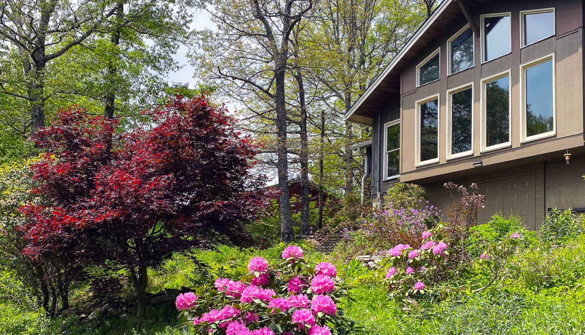 Local Business Listing