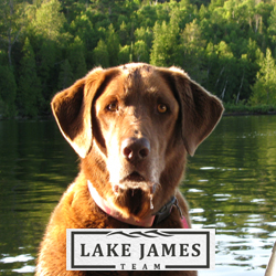 Local Business Listing