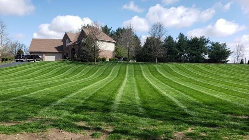 Local Business Listing