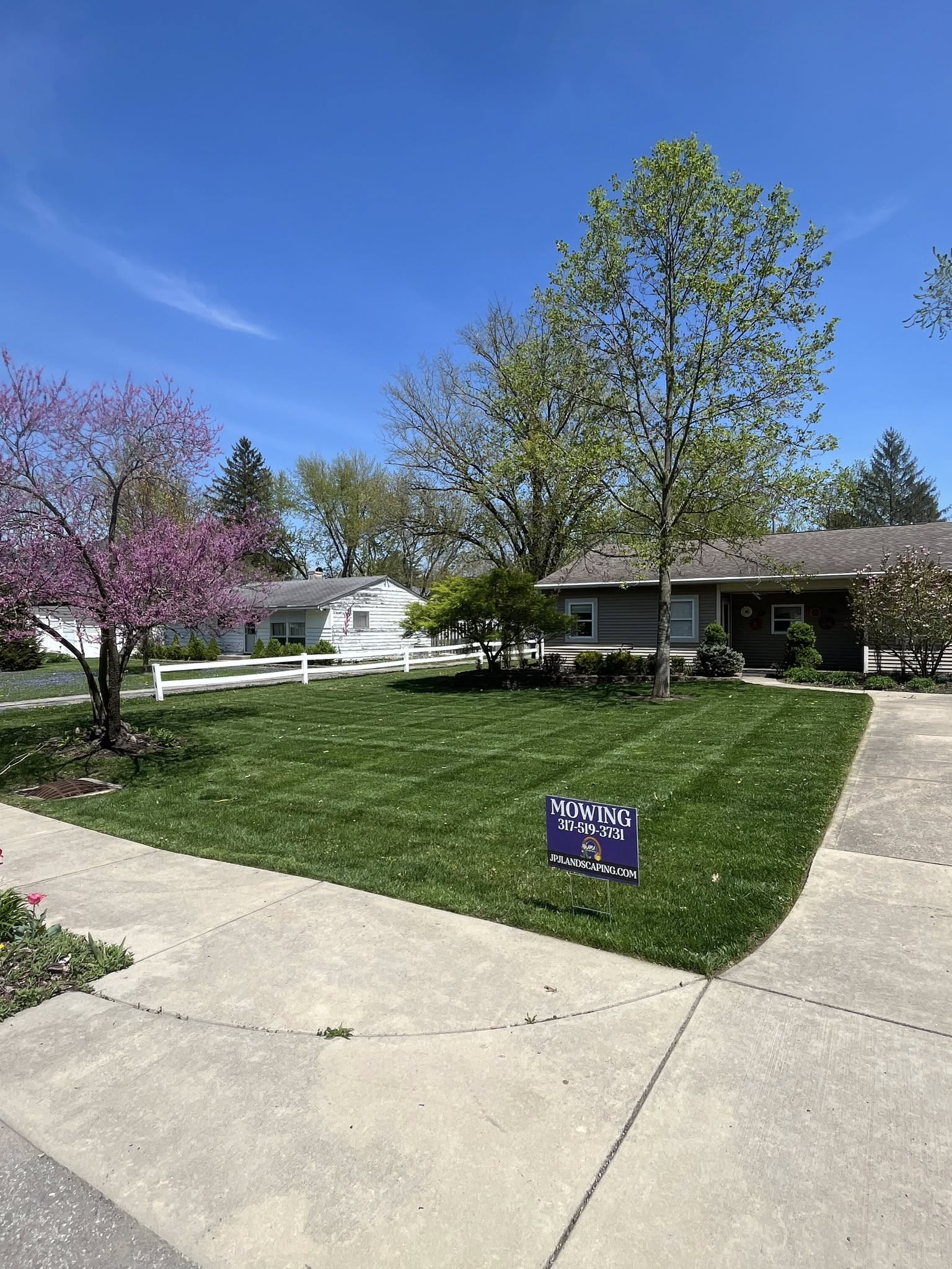 Local Business Listing