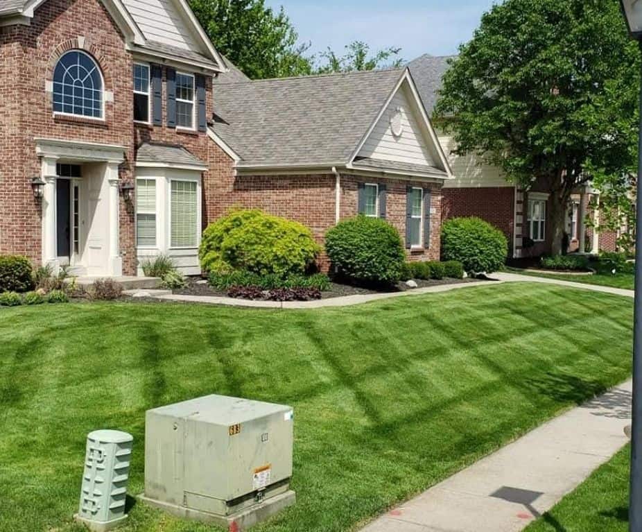 Local Business Listing