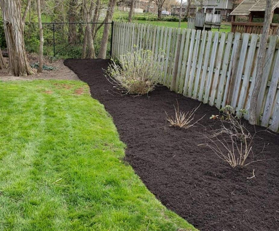 Local Business Listing