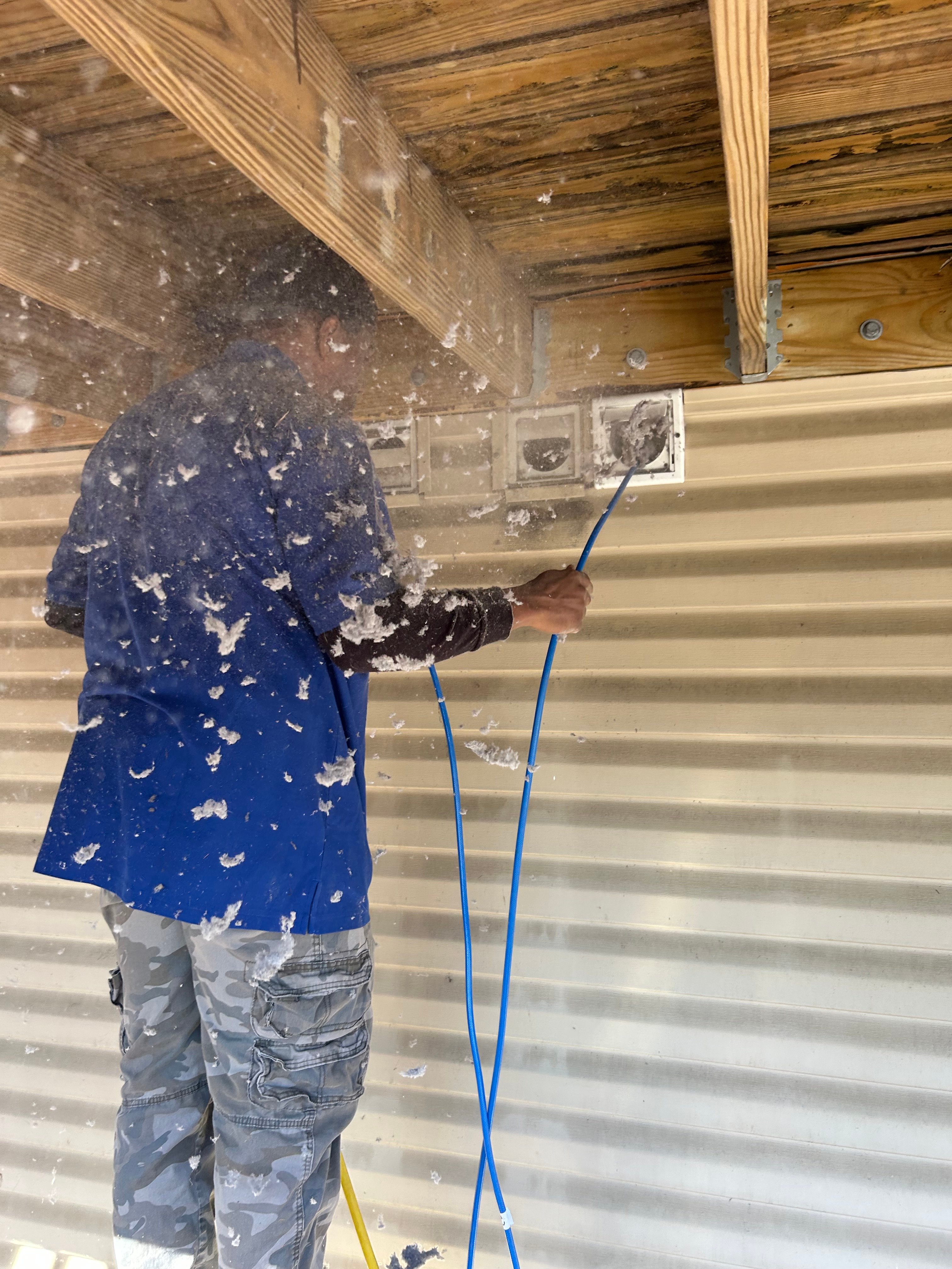 Local Business Listing