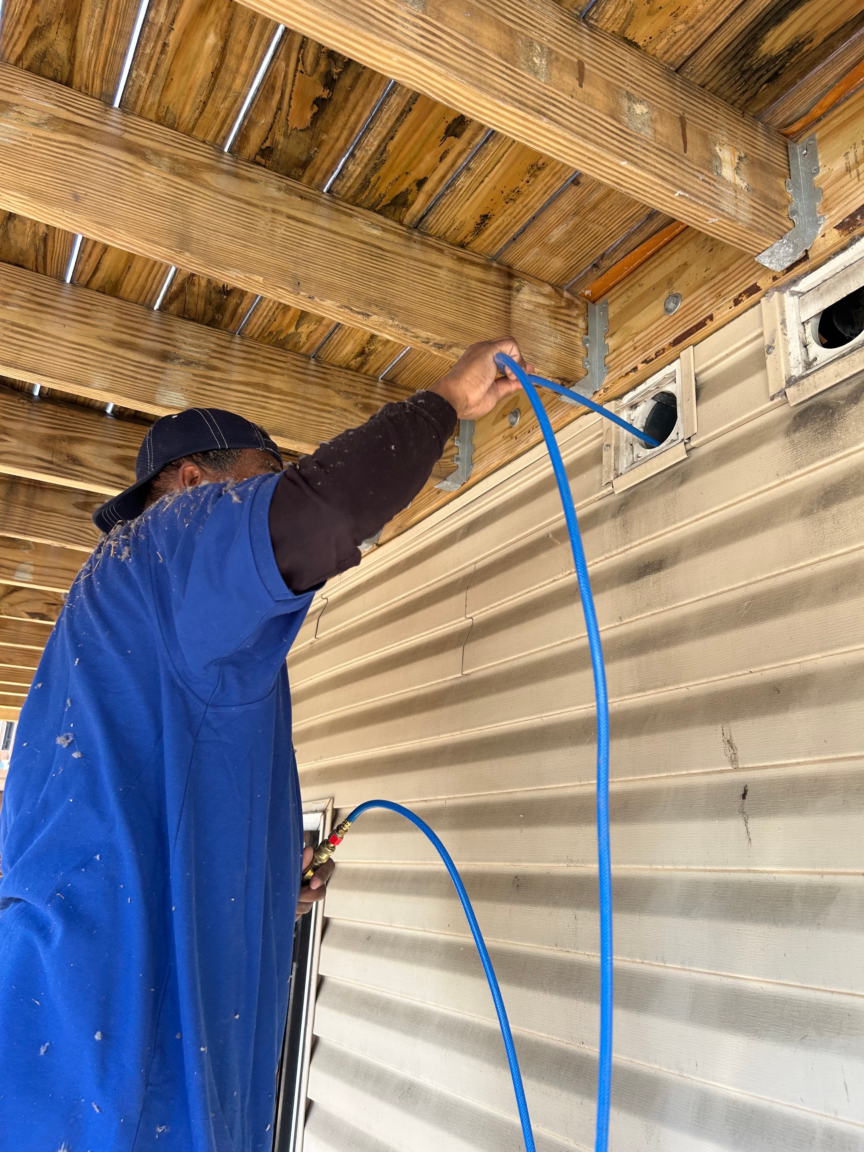 Local Business Listing