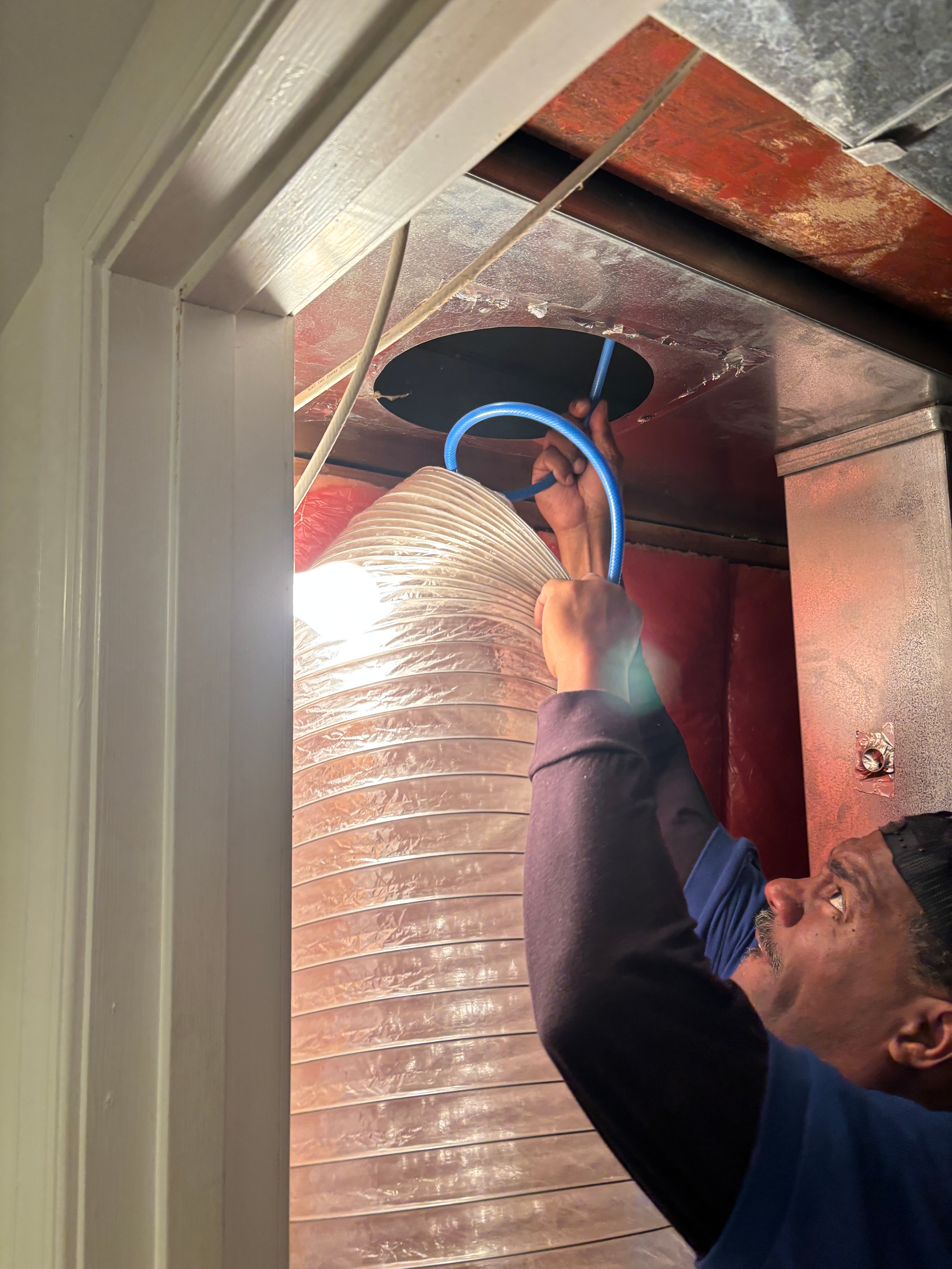 Local Business Listing