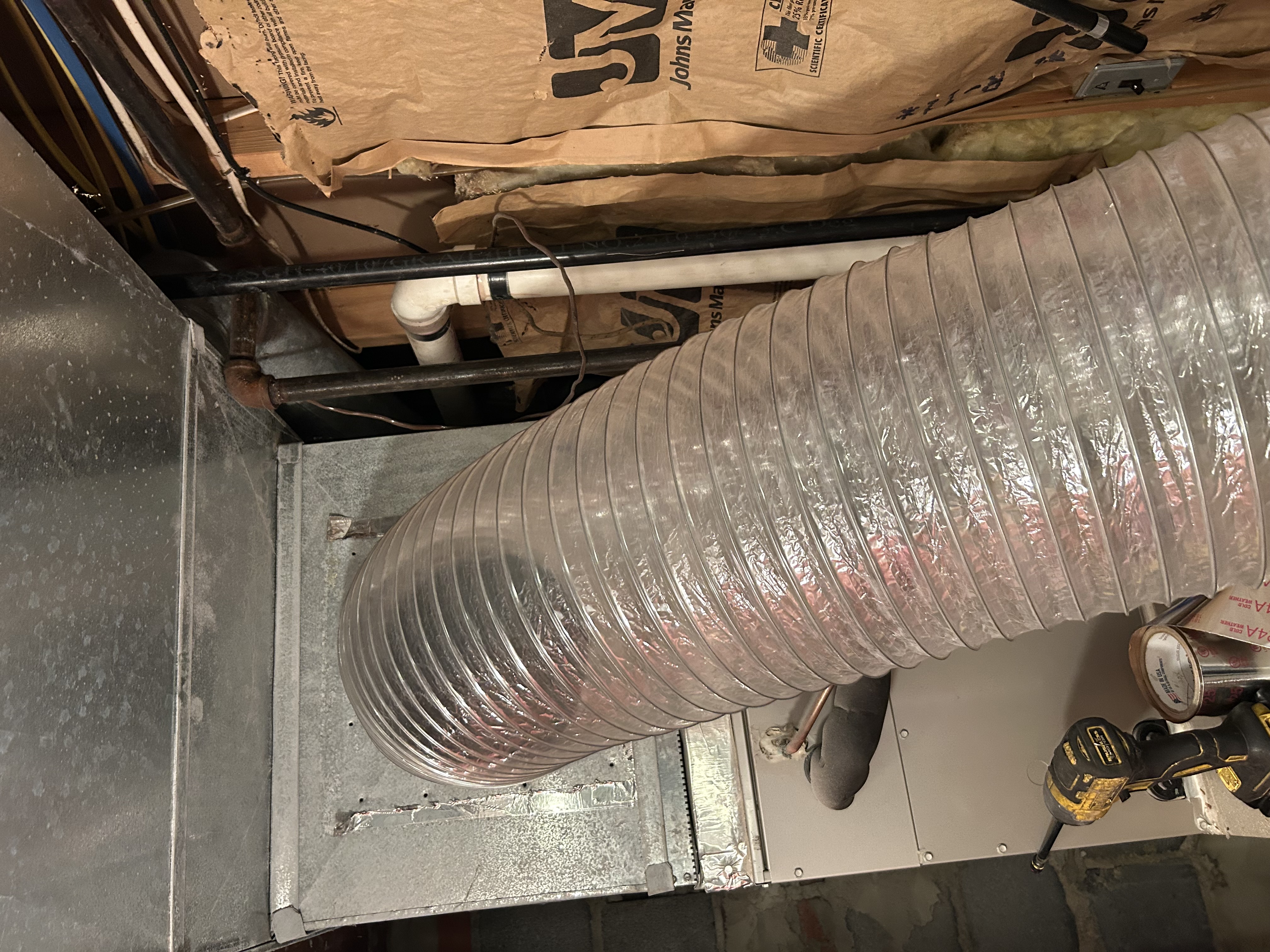 Local Business Listing