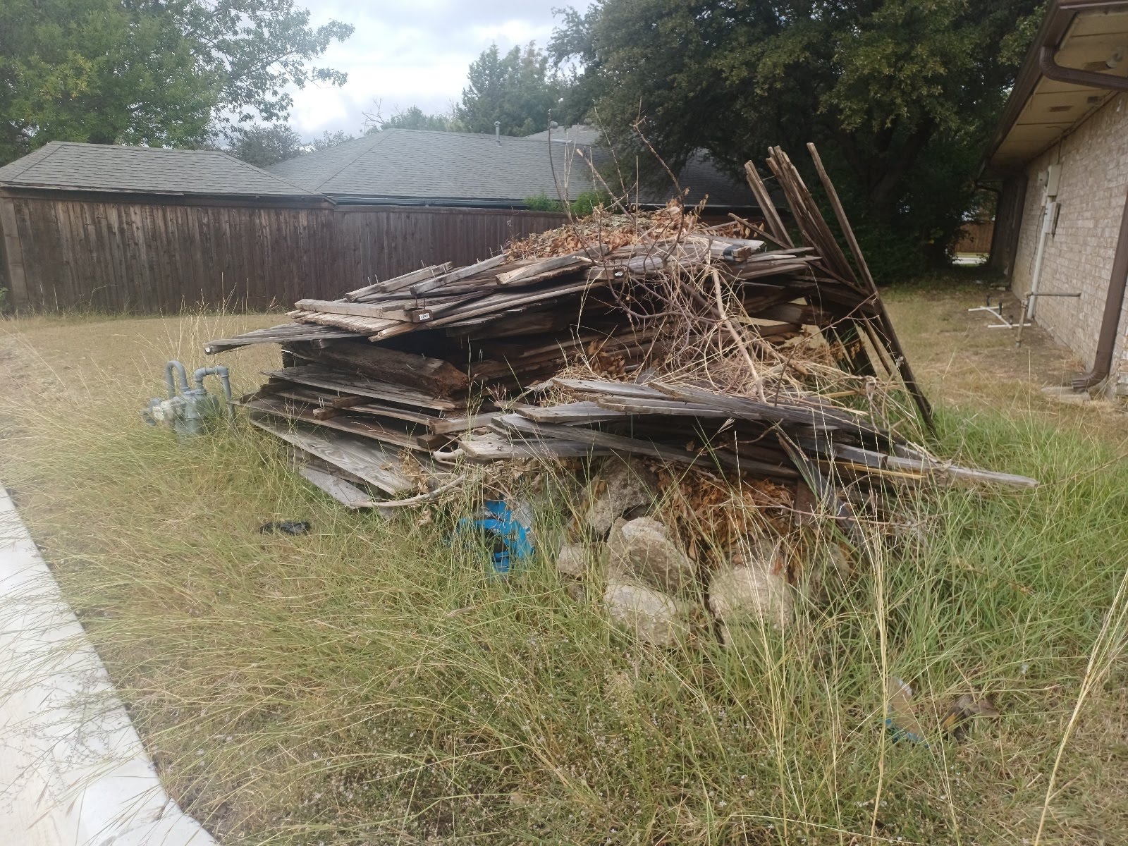 Local Business Listing