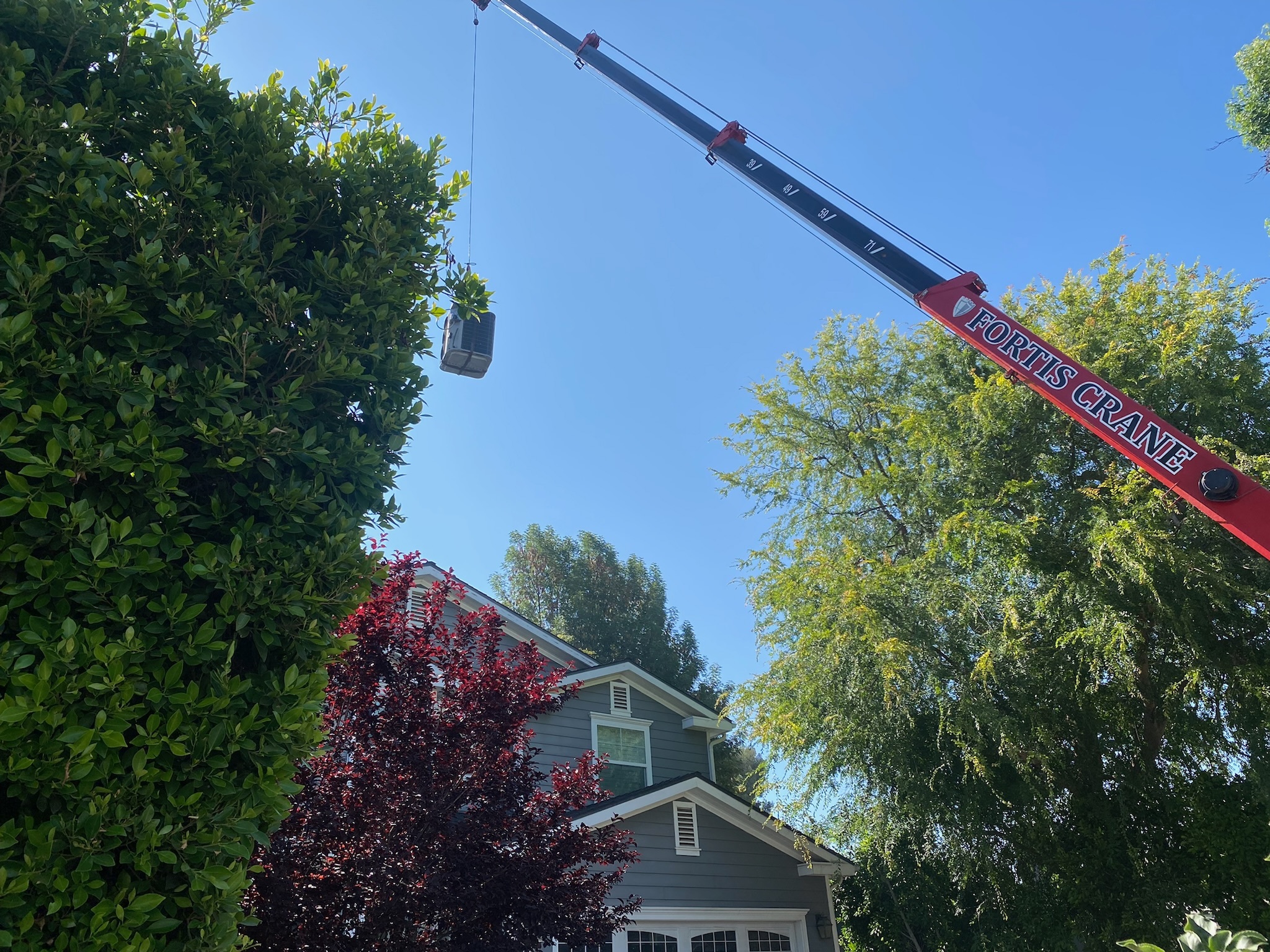 Local Business Listing