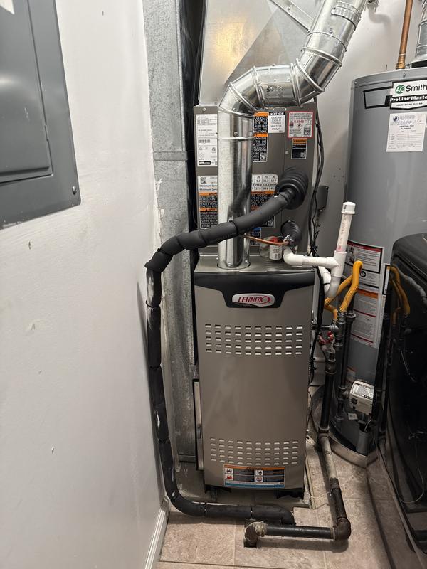 Local Business Listing