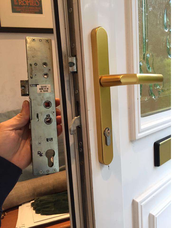 Local Business Listing