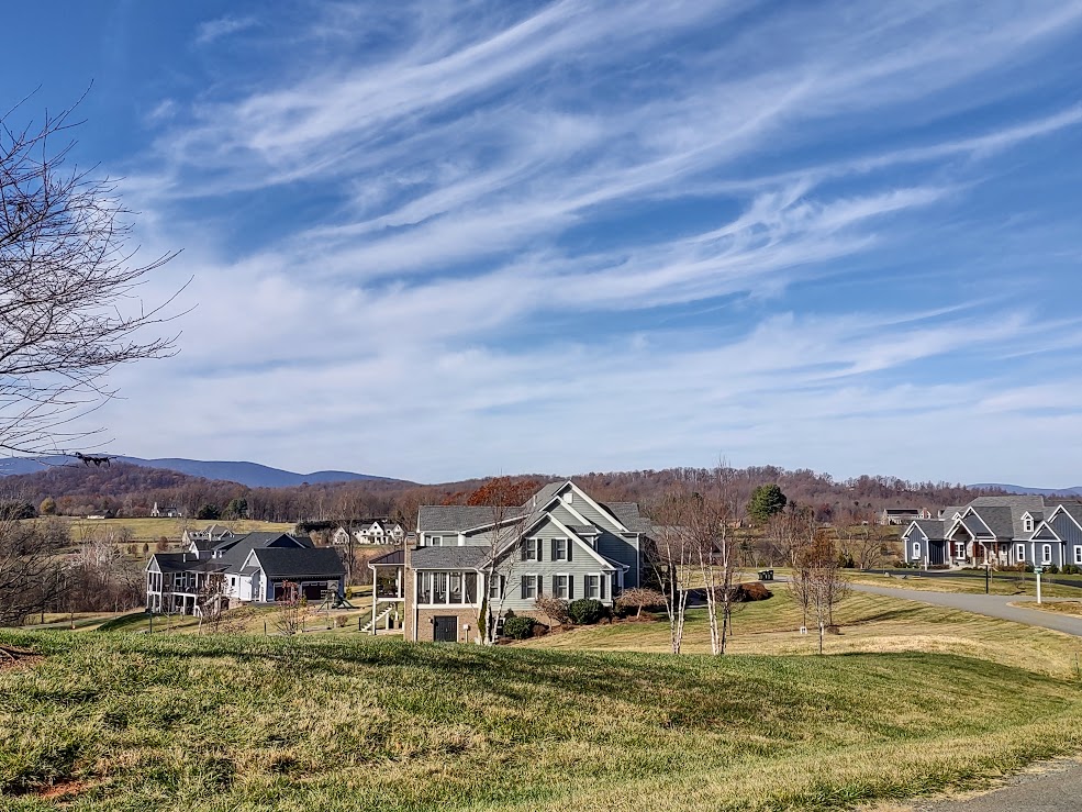 Local Business Listing