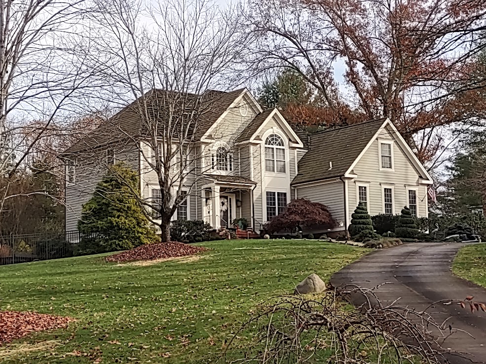 Local Business Listing