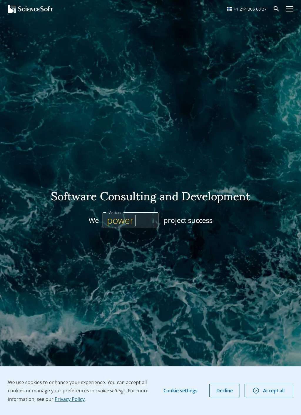 ScienceSoft Software Development Services