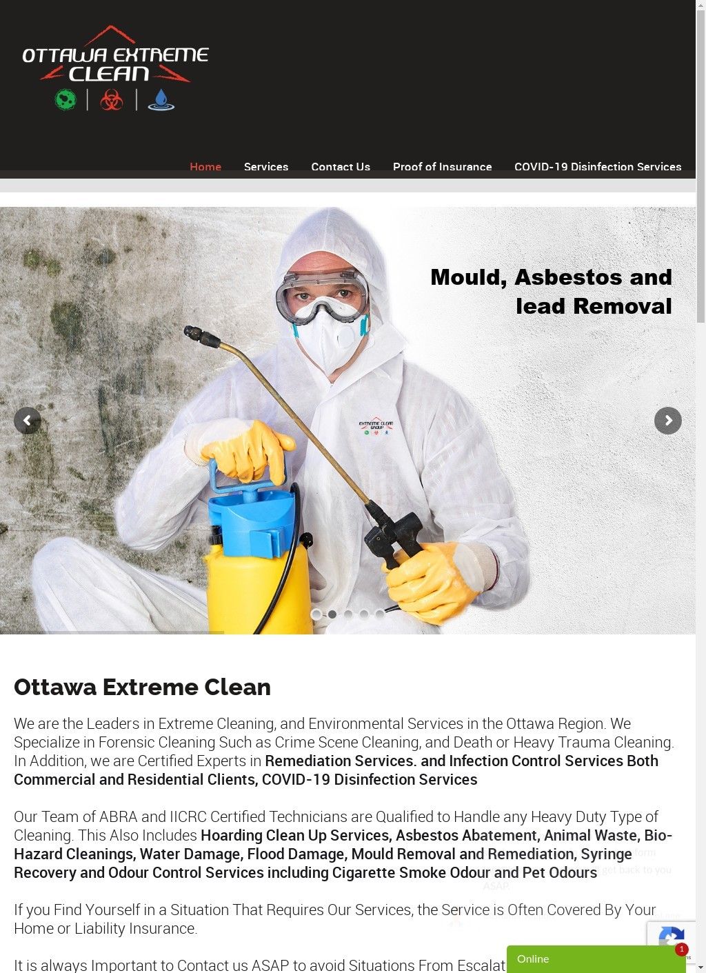 Ottawa Extreme Clean