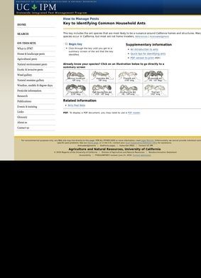 Key to Identifying Common Household Ants