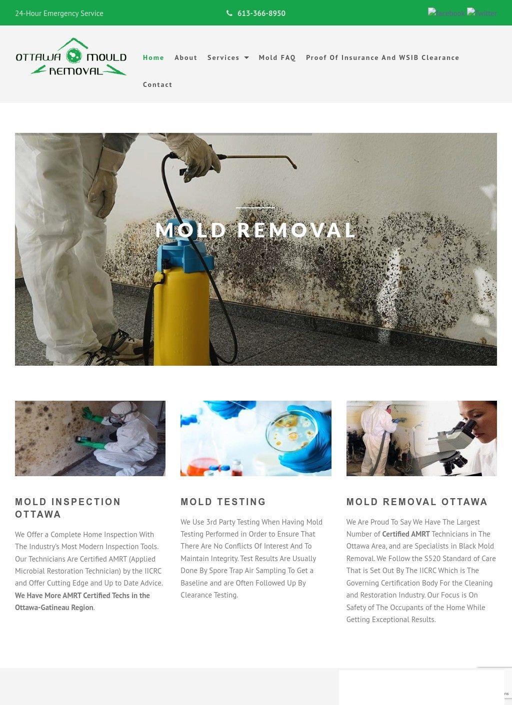 Mold Removal Services Ottawa