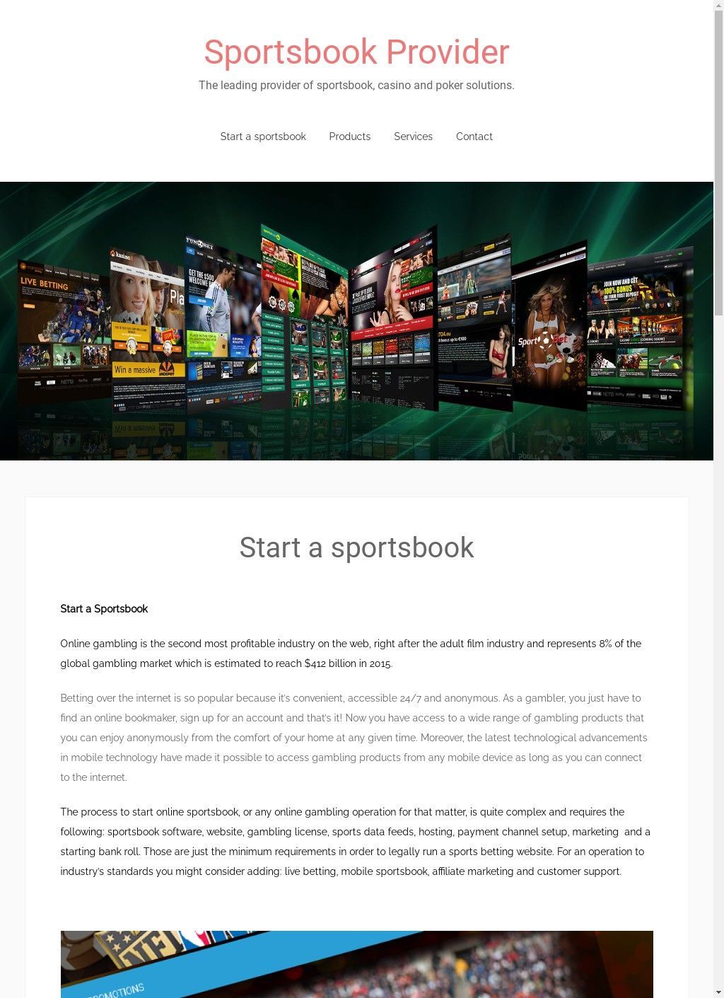 Sportsbook Provider