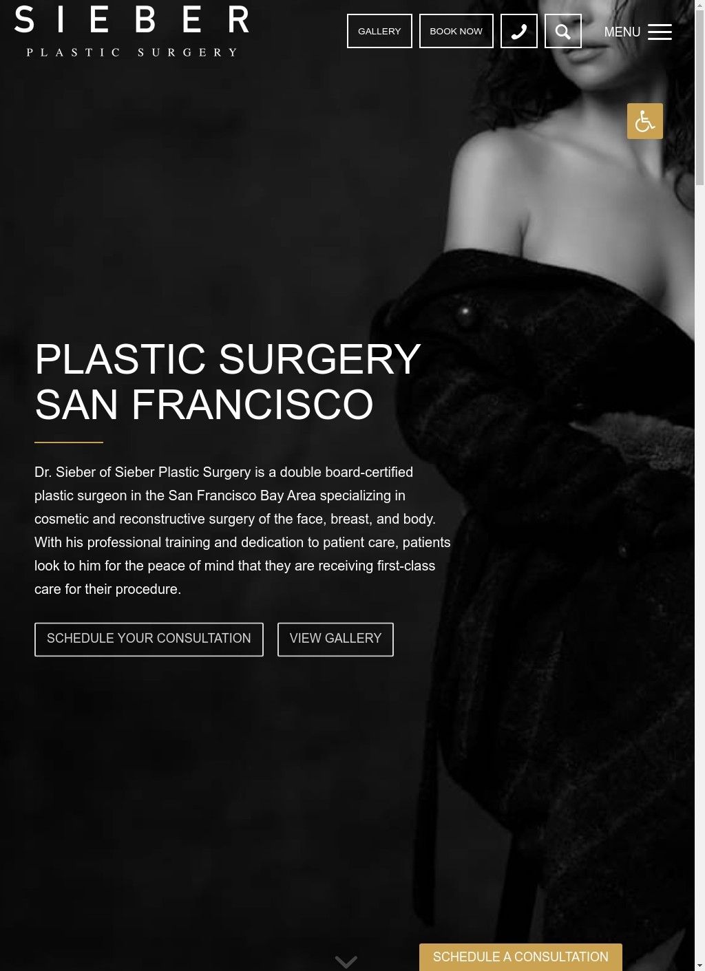 Sieber Plastic Surgery  - San Francisco