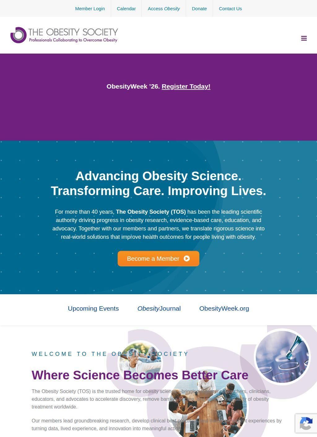 The Obesity Society
