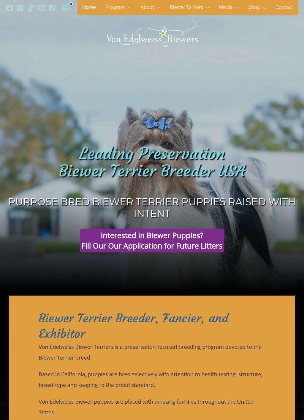 Leading Biewer Terrier Breeder USA: Preservation Bred Puppies