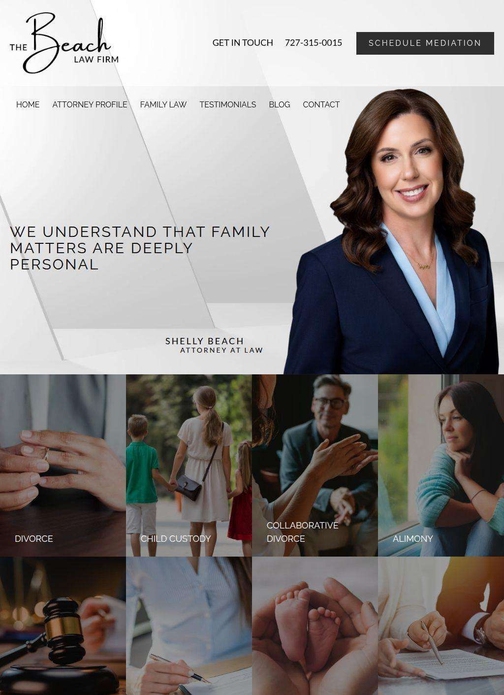 Palm Harbor Family Lawyer