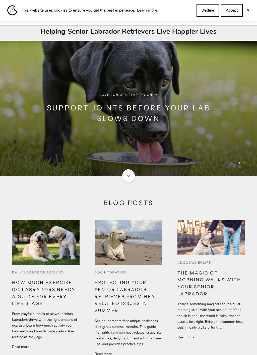 SeniorLabradors.com