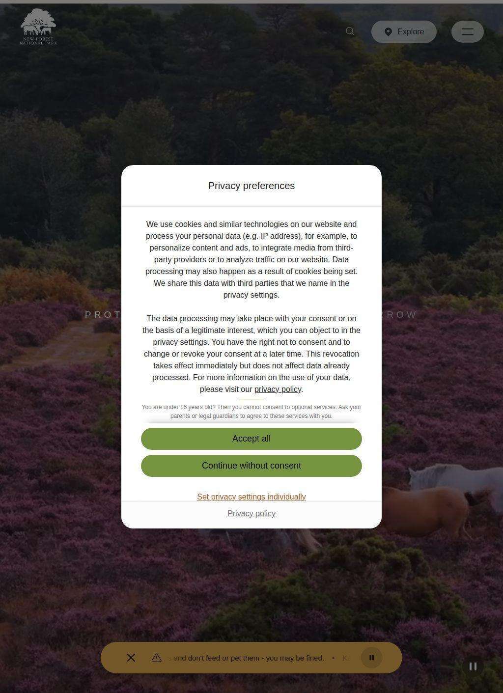 New Forest National Park Authority