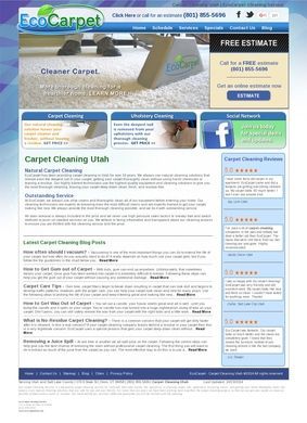 EcoCarpet Cleaning Service