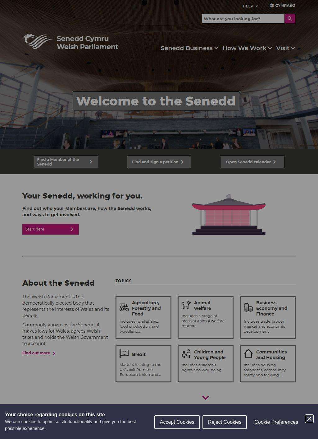 Senedd Cymru (Welsh Parliament)