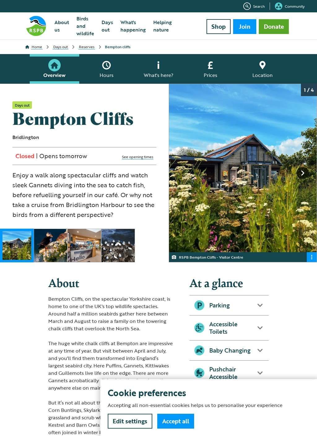 RSPB Bempton Cliffs